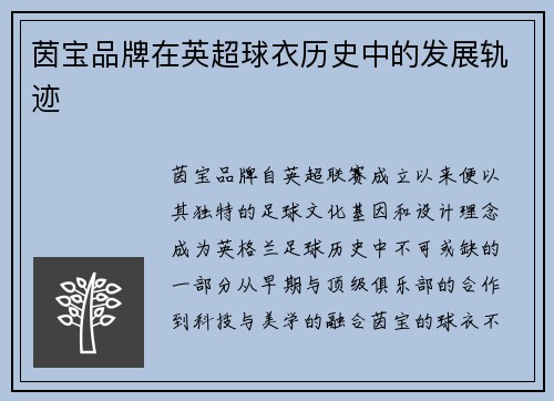 茵宝品牌在英超球衣历史中的发展轨迹